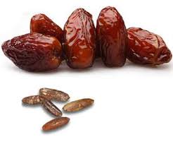 Kurma, buah kurma, jual kurma, harga kurma, manfaat buah kurma, khasiat buah kurma bandar kurma, menyediakan kurma naghal serta kurma lainnya (kurma lulu, mesir, madinah, dan tunisia). Rugi Kalau Buang Bukan Saja Buah Biji Kurma Terbukti Banyak Khasiat