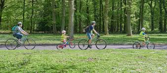 Parcs Jardins Et Cimetieres Site Officiel De La Ville Du Havre Le Havre