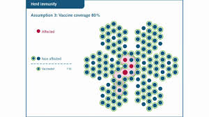 Only at word panda dictionary. What Is Herd Immunity Vaccinestoday
