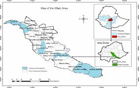 Image result for Lepidotrichilia volkensii