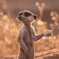 Artstation Michael Kutsche In 2020 Timon Meerkat Character Design