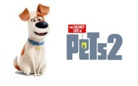 Where to watch the secret life of pets 2. The Secret Life Of Pets 2 Download Movies 2021 Free New Movies