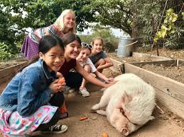 Great Ways To Volunteer With Kids In San Diego