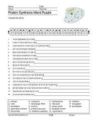 Sion of houghton mifflin company chapter 8 from dna to proteins vocabulary practice, continued d. Chapter 8 From Dna To Proteins Vocabulary Practice Answers Ch 5 Vocab Practice The Bridge Between Dna And Protein Synthesis Is The Nucleic Acid Rna Myrta Hendley