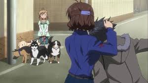 Nyan Koi Tv Episode 3 What Is Your Name Koi Tv Episodes Anime Network