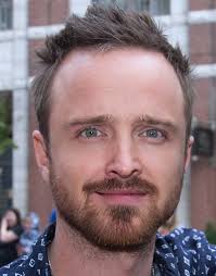 Check spelling or type a new query. Aaron Paul Profile Clickthecity Movies