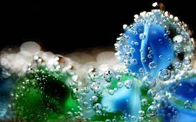 Nature full hd live download hd download for android mobile images. Wallpaper Water Drops Macro Hd Wallpaper Nature Water 1920x1200 Wallpaper Teahub Io