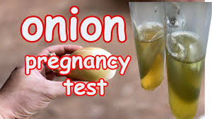 A pregnancy test is used to determine whether a woman is pregnant. Pin On Home Pregnancy Test Using Onion