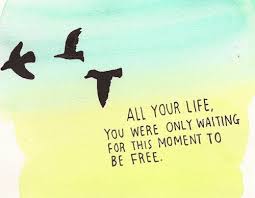 Blackbird Singing In The Dead Of Night Lyrics Blackbird 3 Lyrics To Live By Black Bird Blackbird Lyrics
