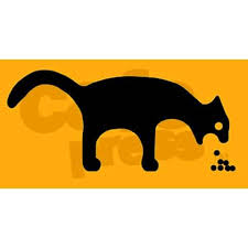 Les vers verts leverent le verre vert vers le ver vert. Vomissement Du Chat Quand Faut Il S Alarmer Conseils Du Veterinaire