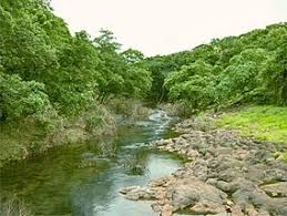 Sanjay Gandhi National Park | Mumbai ...