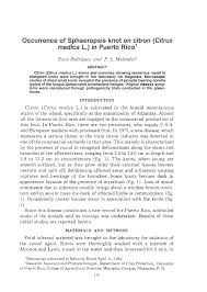 Image result for Sphaeropsis tumefaciens oleander symptoms