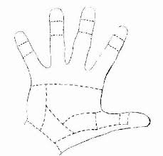 To minimize swelling, you must keep your hand lifted up to your shoulder level. Zone Ii Flexor Injuries Wheeless Textbook Of Orthopaedics