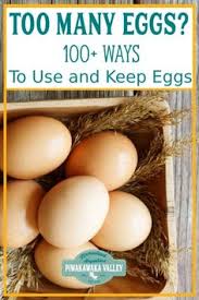 Bread recipes using eggs easy challah cinnamon date walnut brioche apple honey challah sandwich buns sweet cornbread pumpkin bread zucchini bread snickerdoodle bread 94 Recipes That Use Lots Of Eggs Ideas In 2021 Recipes Food Cooking Recipes