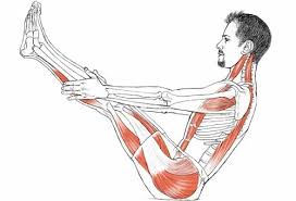 Navasana Yogaanatomy Net Yoga Anatomy Yoga Muscles Hatha Yoga
