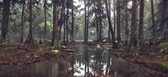 Cryengine V Environment Lighting Cg Daily News Environmental Art Game Level Design Computer Graphics