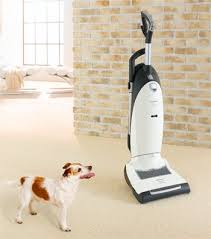 pin on eco friendly dust busting