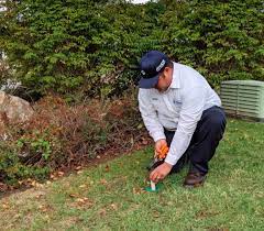 Moxie pest control raleigh offers a wide array of pest control solutions to stop even the most persistent pests. Moxie Pest Control Raleigh Updated Covid 19 Hours Services 12 Photos 48 Reviews Pest Control 2401 Brentwood Rd Raleigh Nc Phone Number Yelp