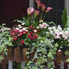 With a slew of online flower delivery services, it's. Window Boxes Planters The Home Depot
