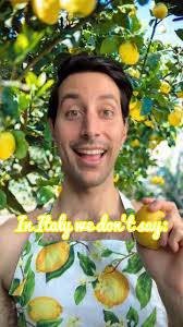 Italian Lemon Cheesecake Recipe Measurements