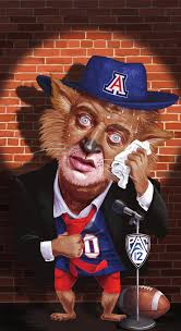 Will Cats' unparalleled season be a winning routine or end in a flop?