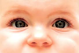 Que Determina El Color De Ojos De Un Bebe