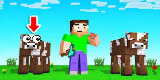 You need ready installed minecraft forge. Jelly Mod For Minecraft For Android Apk Download