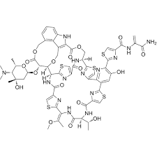 Image result for Penicillin Resistant Pneumococcus
