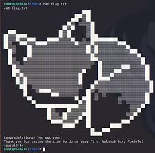 Image result for tbn:oxKqT-54YfaH0M::www.voir.ca/blogs/steve_proulx/chut.jpg