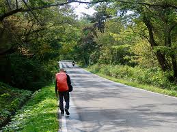 Image result for Hakkoda Walk