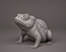 Toad Frog 3d Printable Model Frog 3d Printable Models Toad