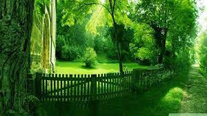 Pin By Kashif Danish On My Kryptonight Green Nature Wallpaper Landscape Wallpaper Nature Wallpaper