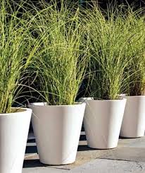 Easy Container Gardens Large Outdoor Planters Ornamental Grass Landscape Outdoor Planters