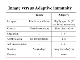 Innate Vs Adaptive Immune System Quotes Immune System Quotes Adaptive Immune System Medical Technology Labs