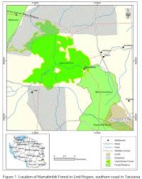 Image result for Monanthotaxis trichantha