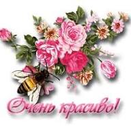 Идеи на тему «Браво» (22) | благодарственные открытки, милые открытки, картинки