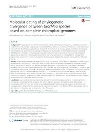 Image result for Urochloa leersioides