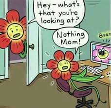 Flower Joke Funny Comics Funny P Funny Cartoons
