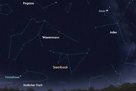 Verunsichern sie, machen ihn misstrauisch. Steinbock Astrokramkiste