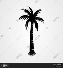 Maybe you would like to learn more about one of these? Palm Tree Silhouette Vector Photo Free Trial Bigstock