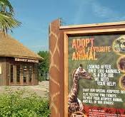 Zoo Theming - Environmentally Thatch Materials