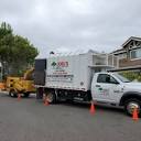JOEL'S TREE SERVICE - Updated May 2024 - 97 Photos & 87 Reviews ...