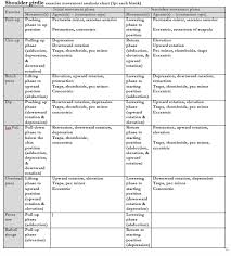 solved shoulder e exercise movement analysis chart 1pt e