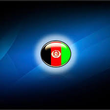 Profile for Nader Borhani