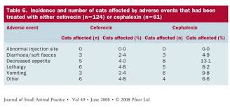 I have a medical officer in my neighbouring flat who askd me to get the further. Has Anyone S Cat Had A Convenia Injection Pet Forums Community