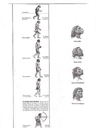 Ricerca per la scuola primaria. Uomo Di Neanderthal La Sua Storia