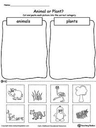 Animal And Plant Sorting Preschool Science Plants Kindergarten Kindergarten Worksheets