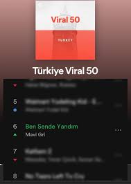 Mavi Gri Home Facebook