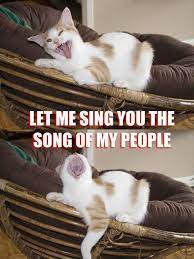 Funny Memes Let Me Sing You The Song Of My People 4 Funny Songs Funny Cat Memes Singing Meme