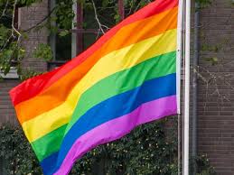 Igualdad, amor, concepto de orgullo. No Solo Es Una Estas Son Todas Las Banderas Del Orgullo Lgbtttiqa El Heraldo De Mexico